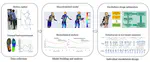 Individualized exoskeleton design for construction workers based on biomechanical digital twins